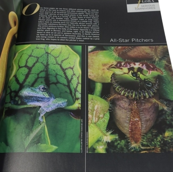 2010 LIFE BOOKS - WONDERS OF LIFE - THE AMAZING WORLD OF NATURE - Picture 9 of 16